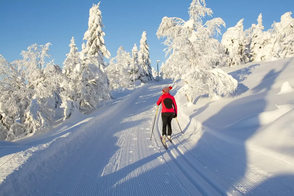 Nordic Skiing & Cross Country Skiing